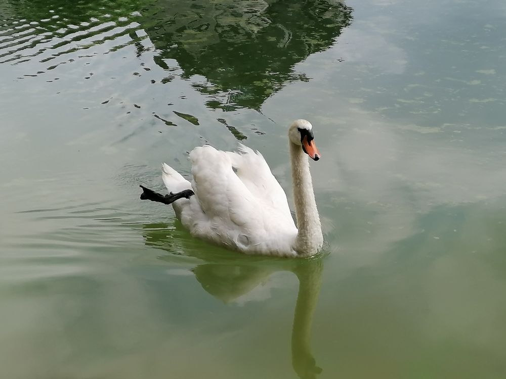 Фотография автора Danica Utjesinovic