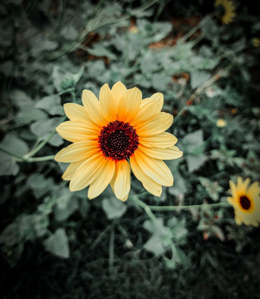 Photograph by Sachin Verma
