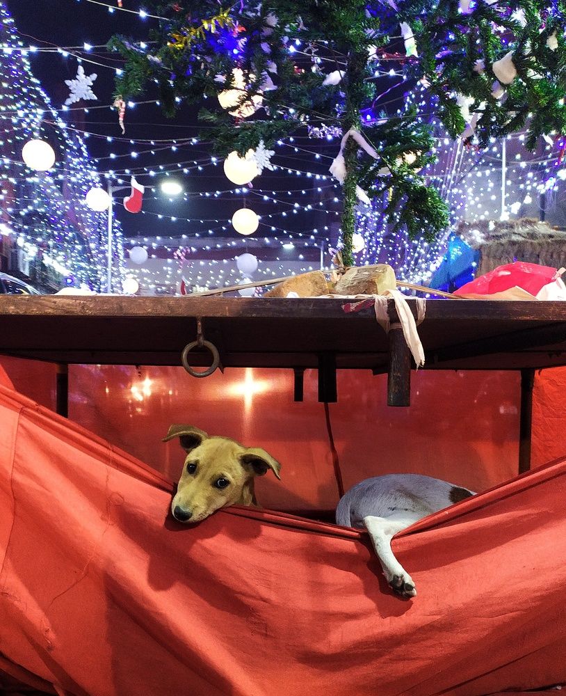 Photograph by Debratna Ghosh