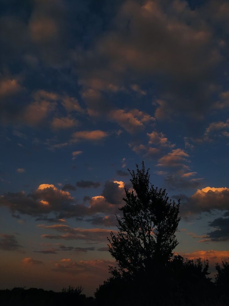 Photograph by Мария Горбик
