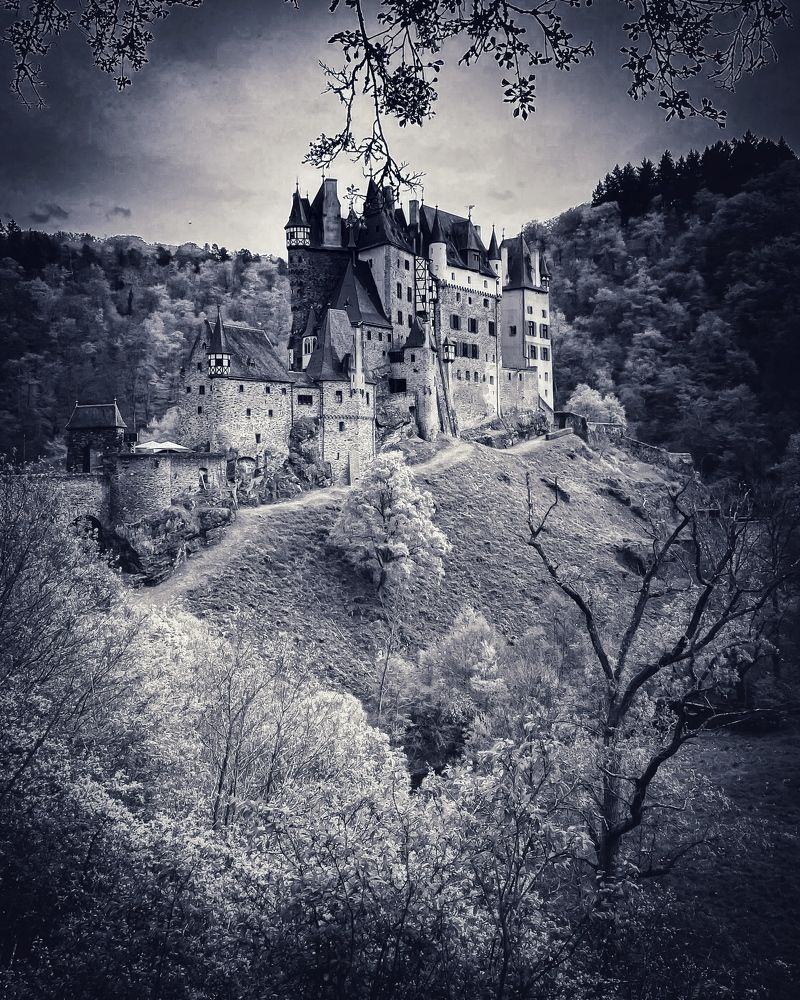 Photograph by Алёна Мажорова