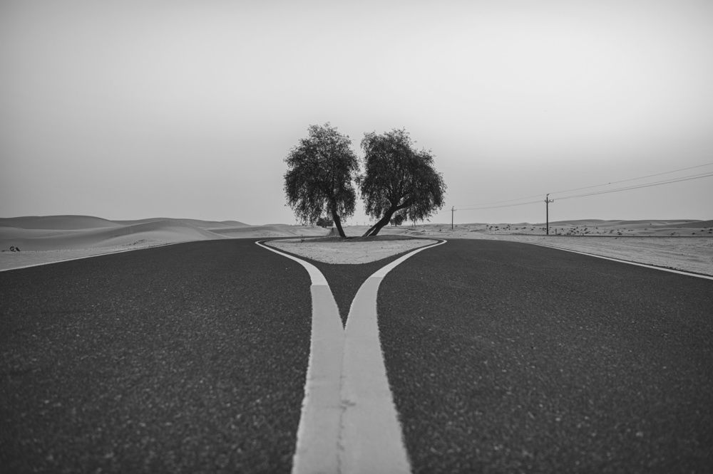 Photograph by Rino Suren