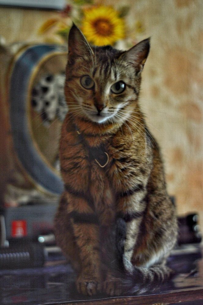 Photograph by Михаил Пасынков