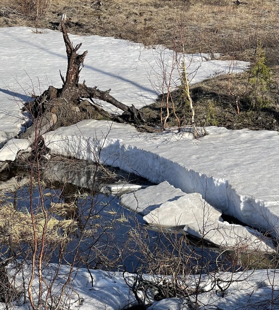 Photograph by Яна Жилкина