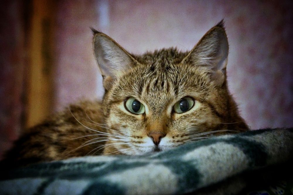 Photograph by Михаил Пасынков