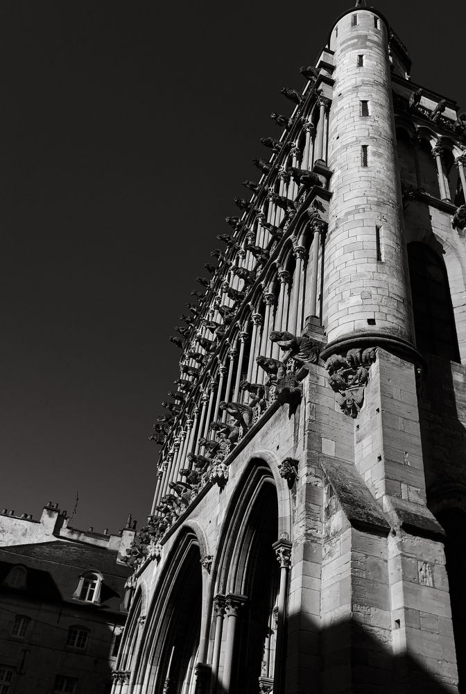 Фотография автора Денис Беляев