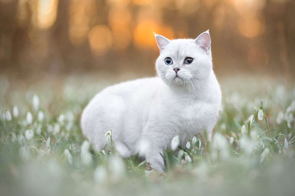 Photograph by Veronika Blažeková