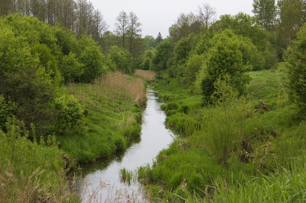 Photograph by Анна-Лаймуте Милошевич