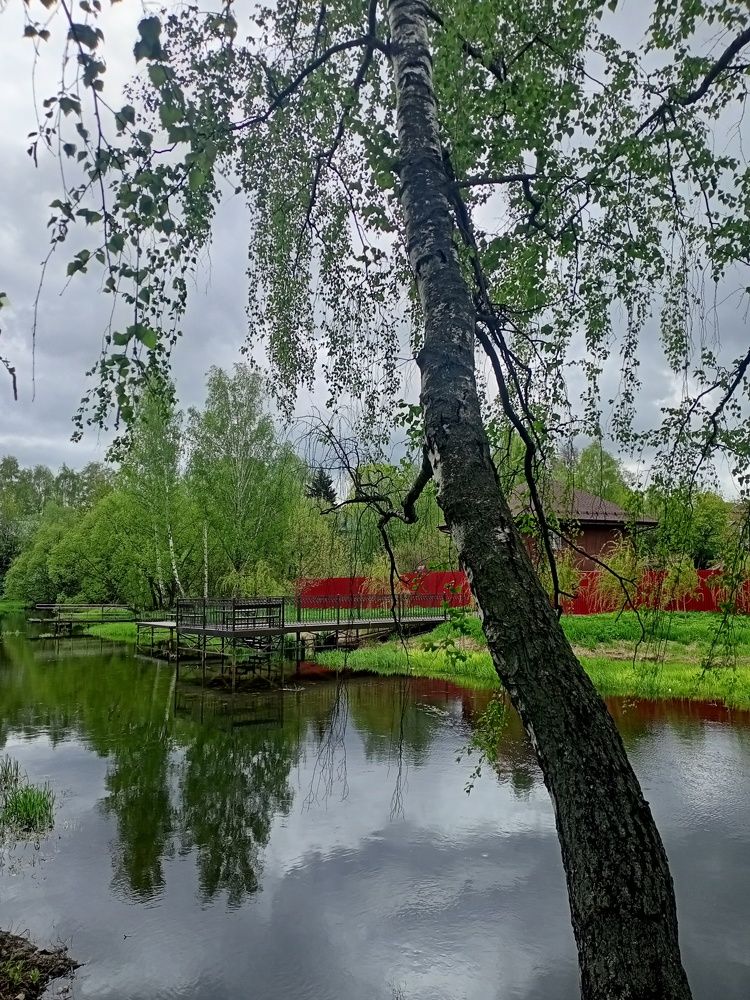 Photo #7615259