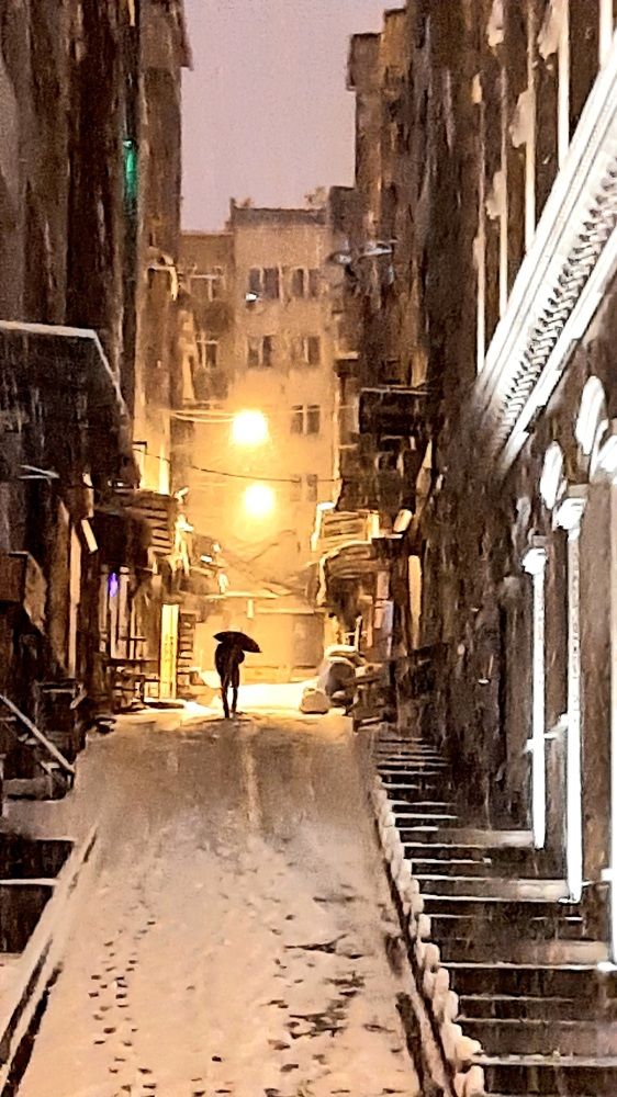 Photograph by Sacha van Rietschoten