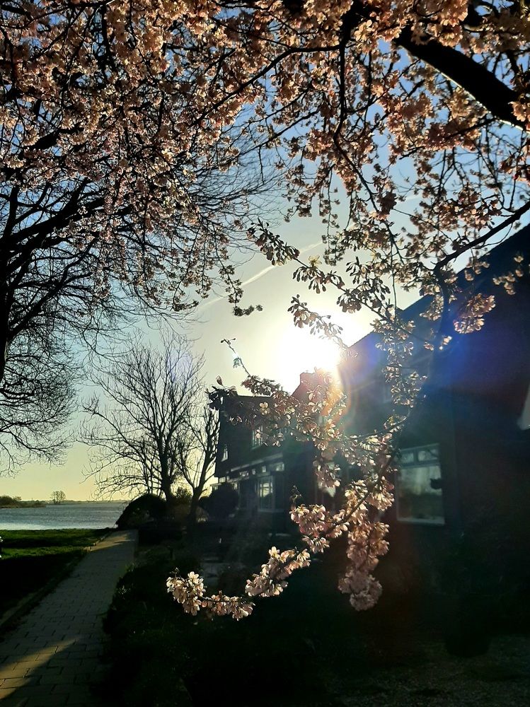 Photograph by Sacha van Rietschoten