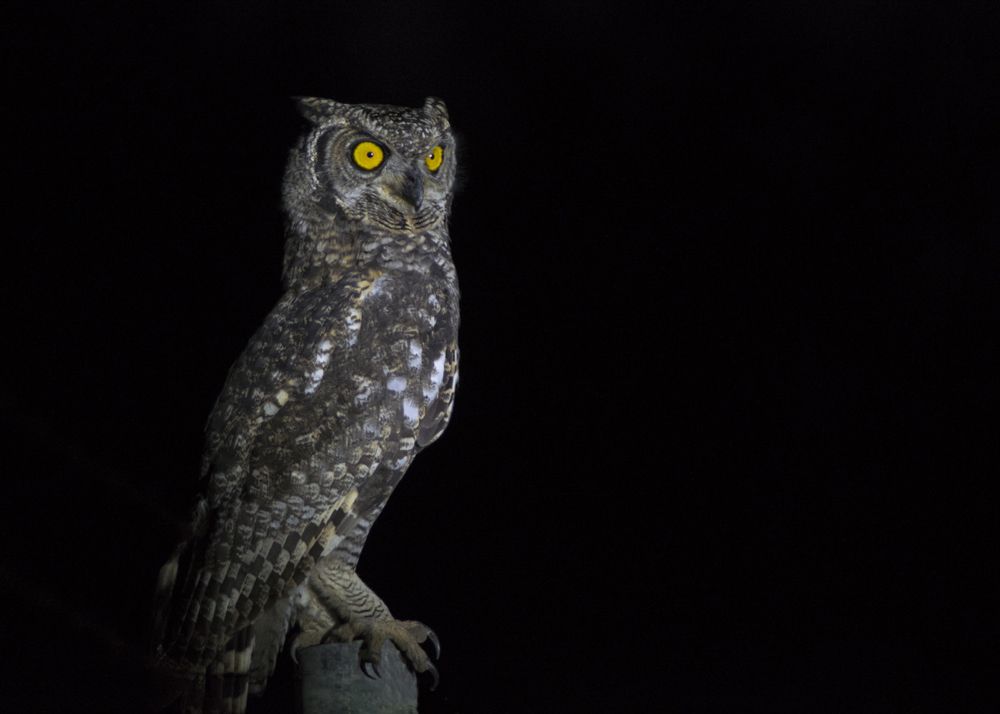 Photograph by Сергей Волков