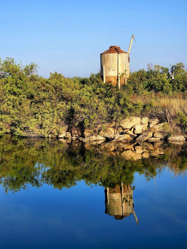 Photograph by יעל מנור