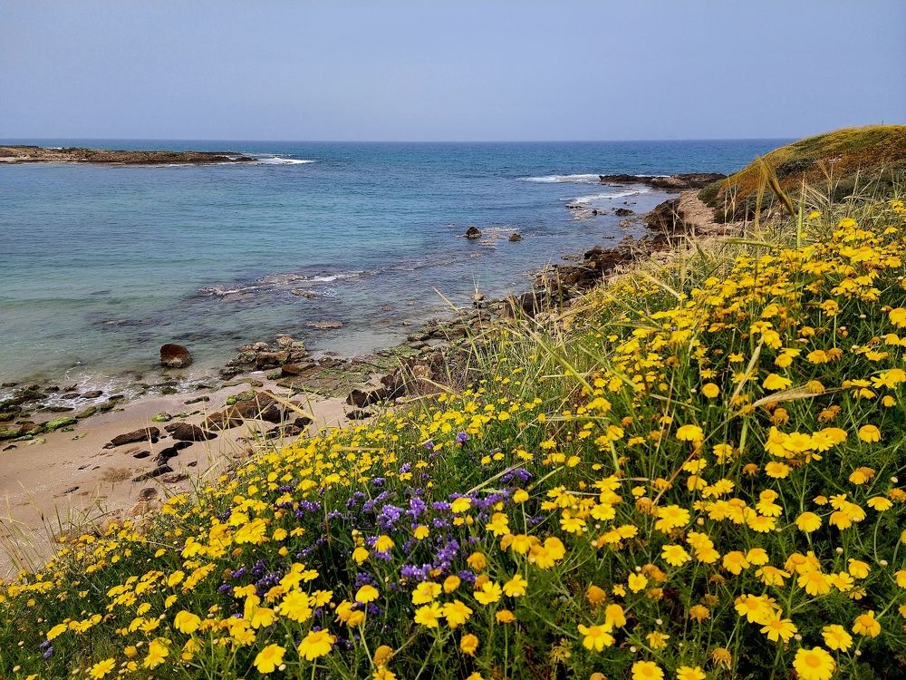 Photograph by יעל מנור