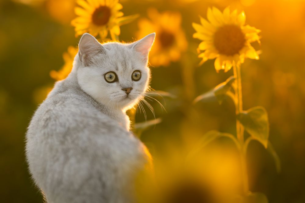 Photograph by Veronika Blažeková