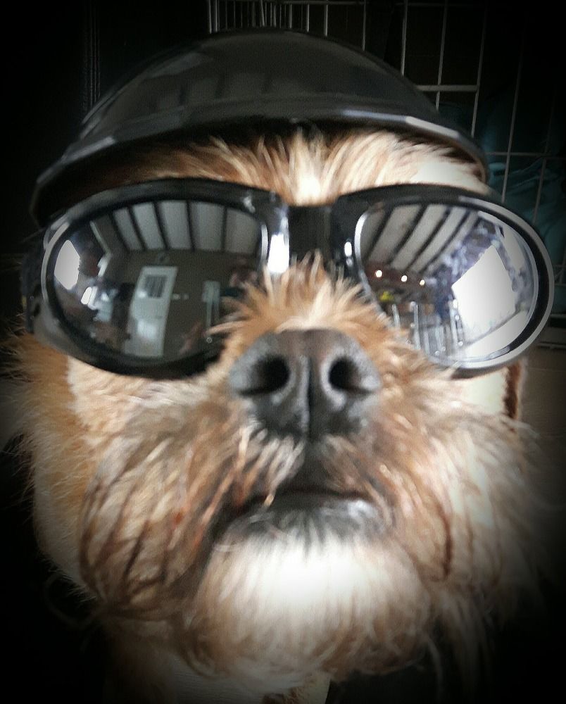 Photograph by Sacha van Rietschoten