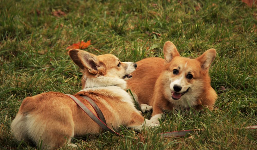 Photograph by владимир Заворотный