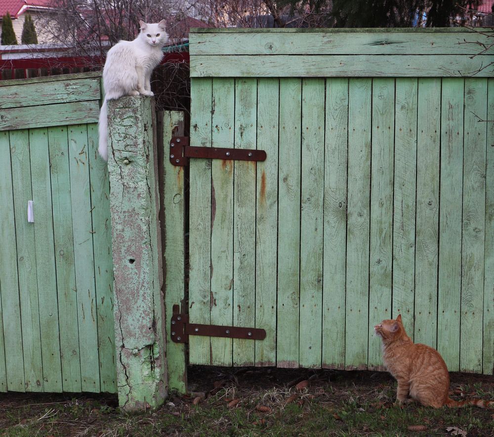 Photograph by владимир Заворотный