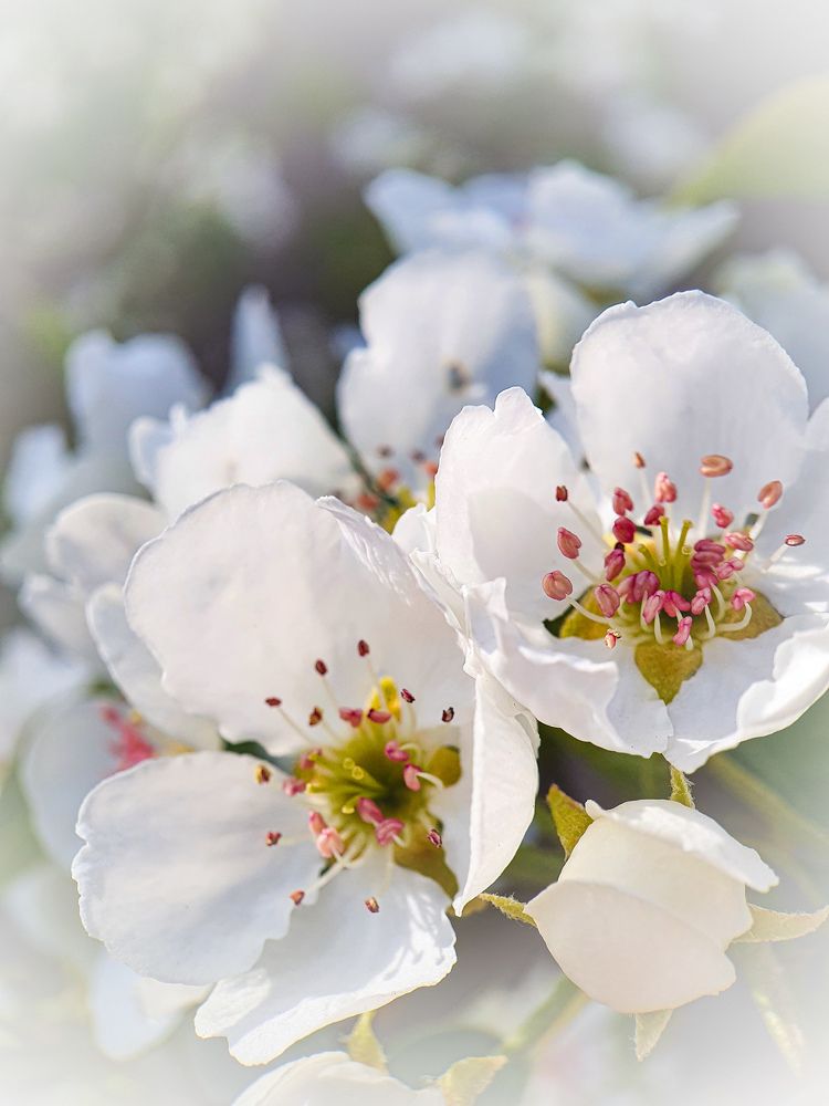 Фотография автора Юлия Таран