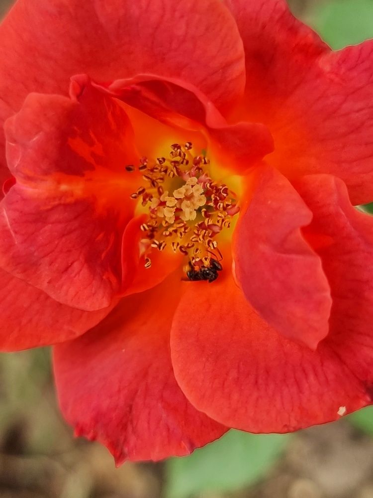 Photograph by Sampath Perera