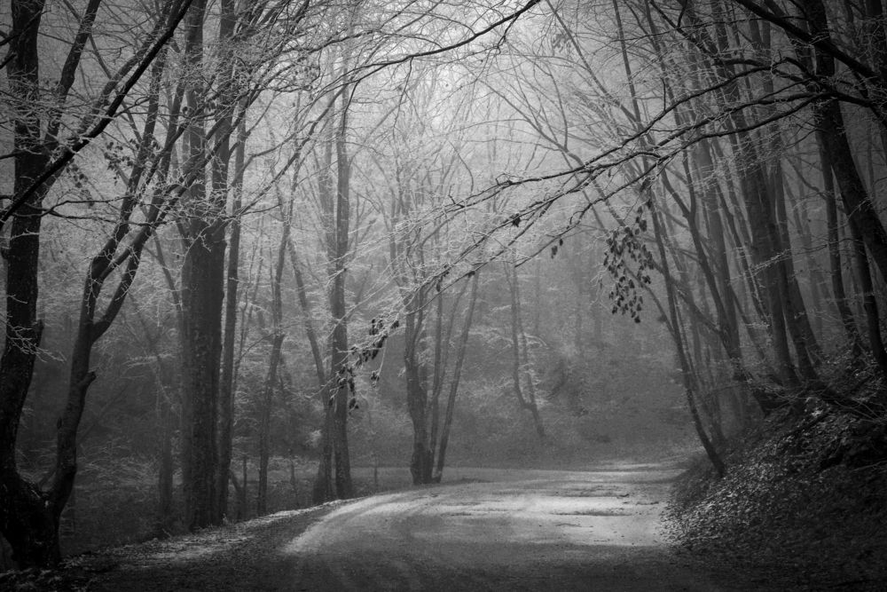 Photograph by Сергей Прокофьев