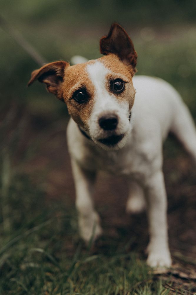 Photograph by Юлия Насифуллина