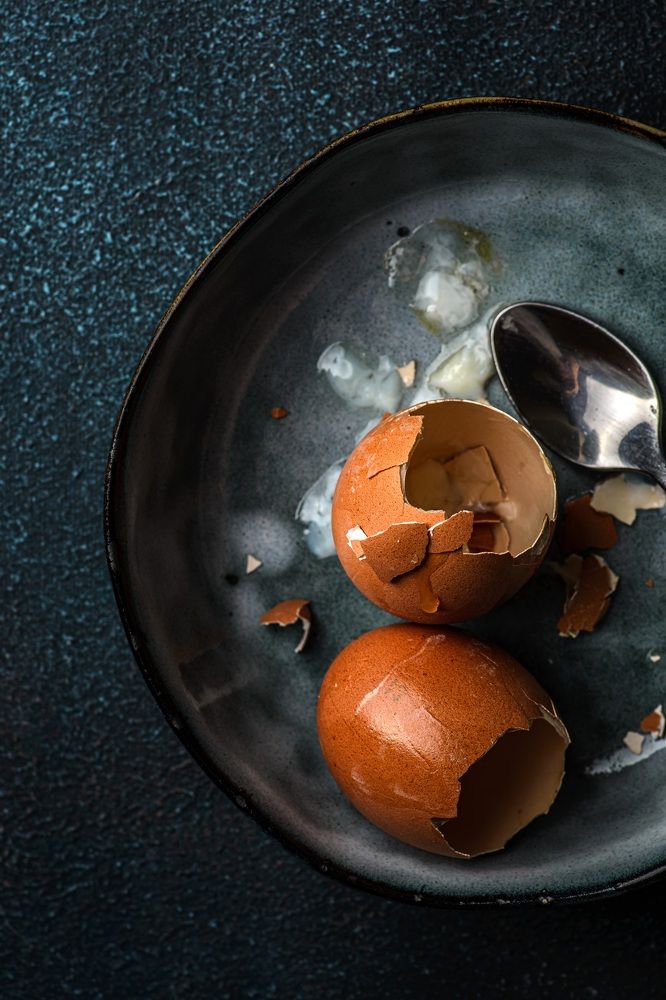 Photograph by Julia lavleis