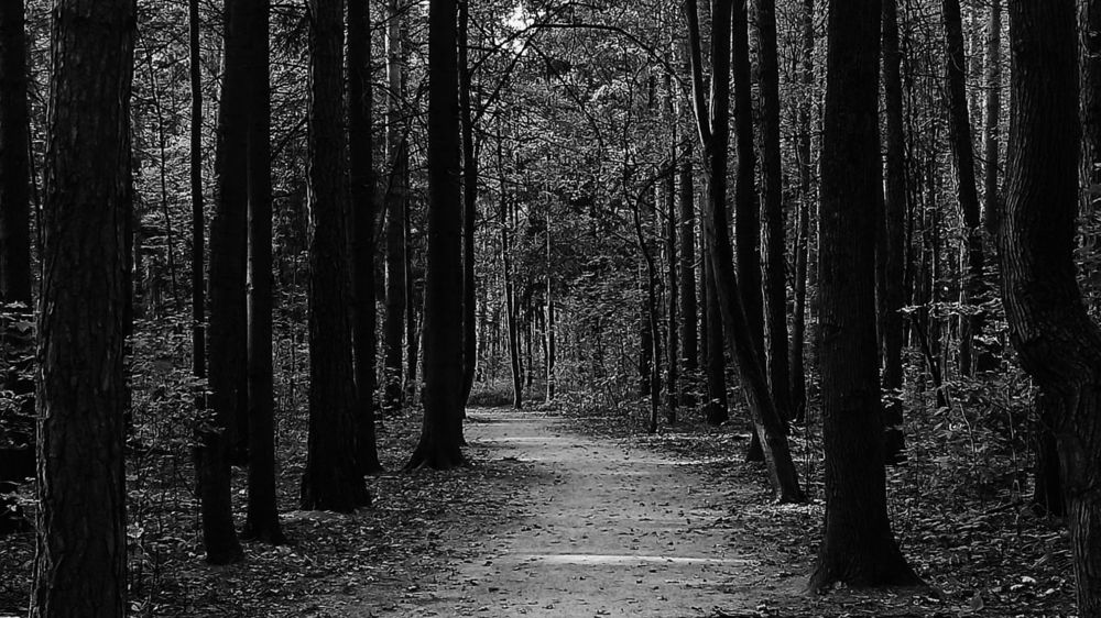 Photograph by Светлана Барабанова