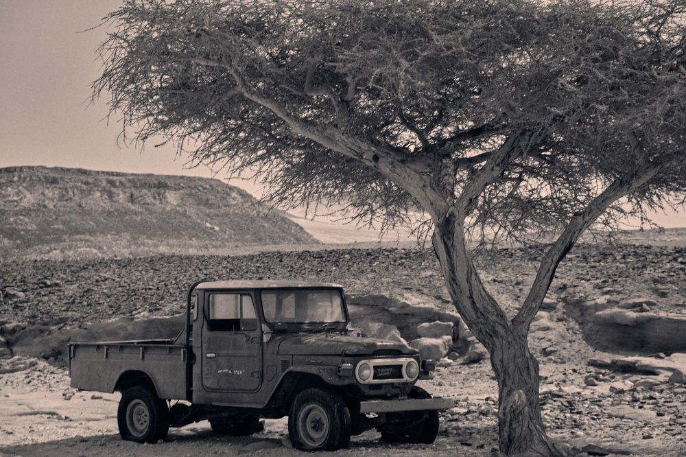 Photograph by Александр Серняк