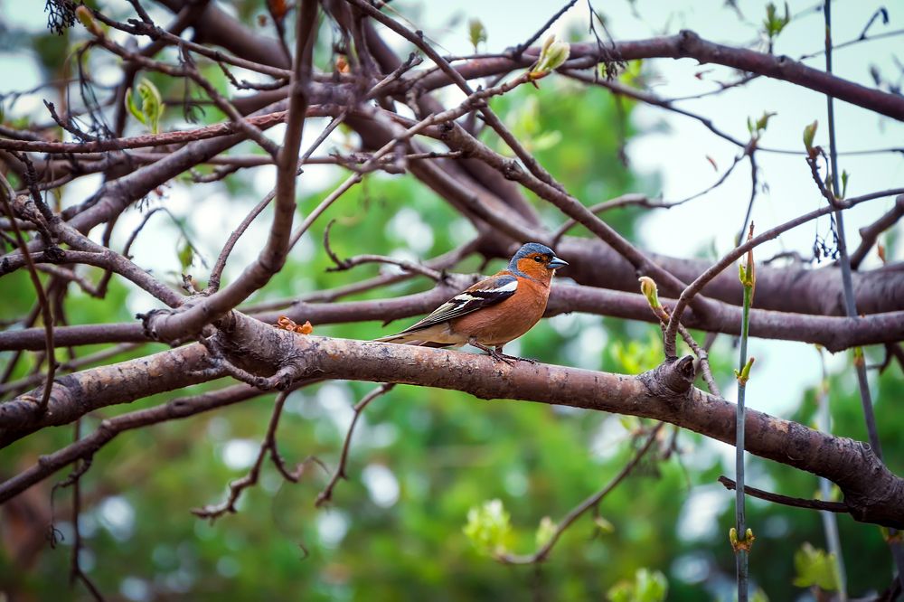 Photograph by Ильдар Шангараев