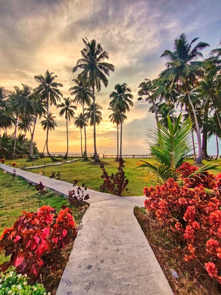 Photograph by VASHALE DEVI