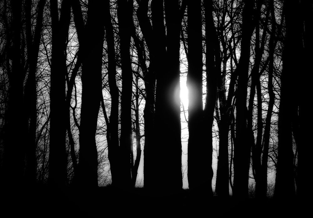 Photograph by Angelo Sab