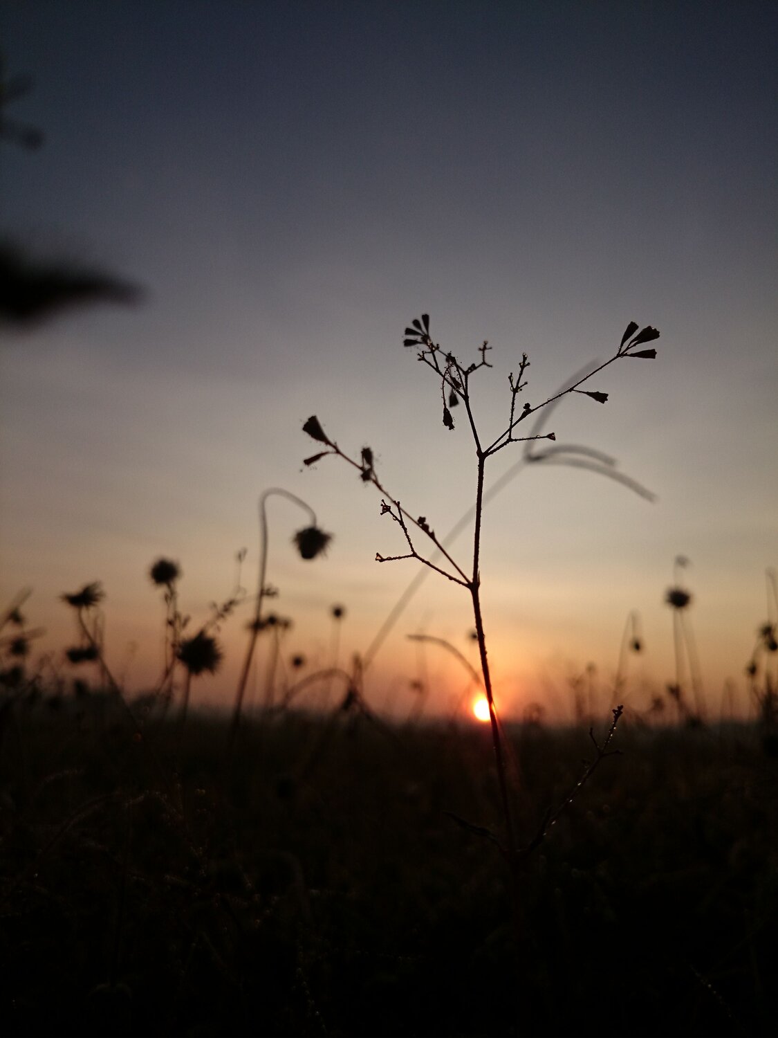 Photo #7615566
