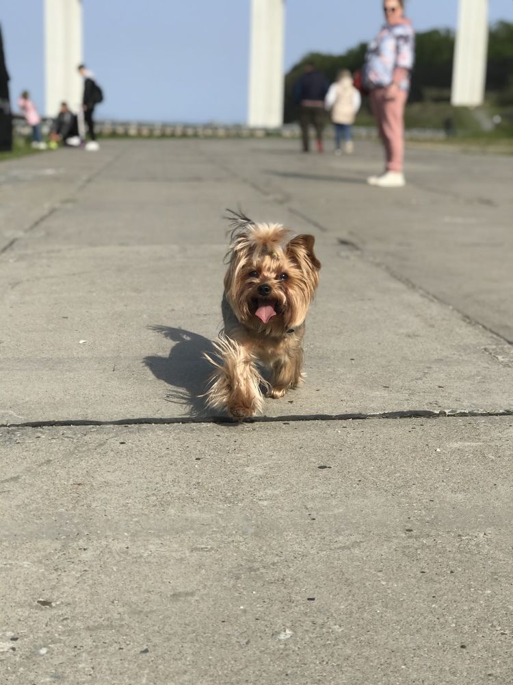 Photograph by Илья Погорелов