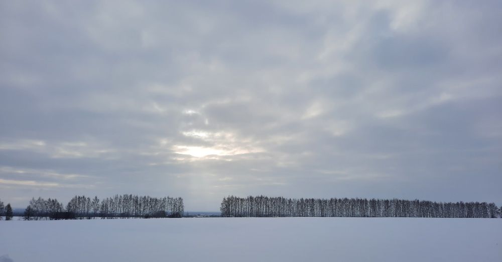 Photograph by Светлана