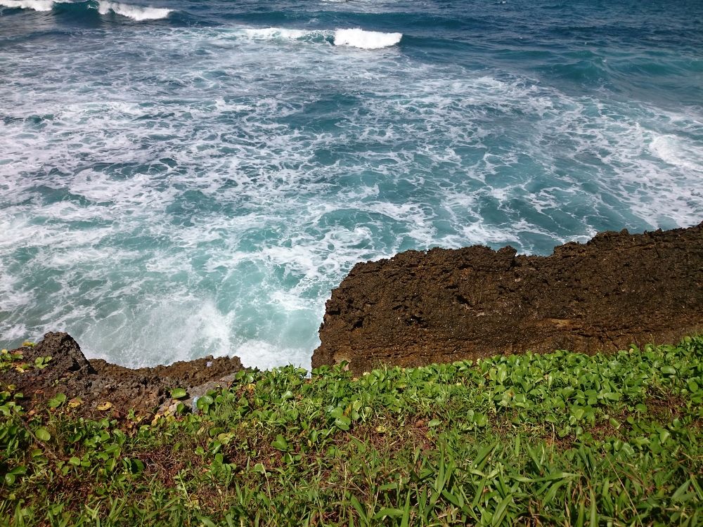 Photo #7615600