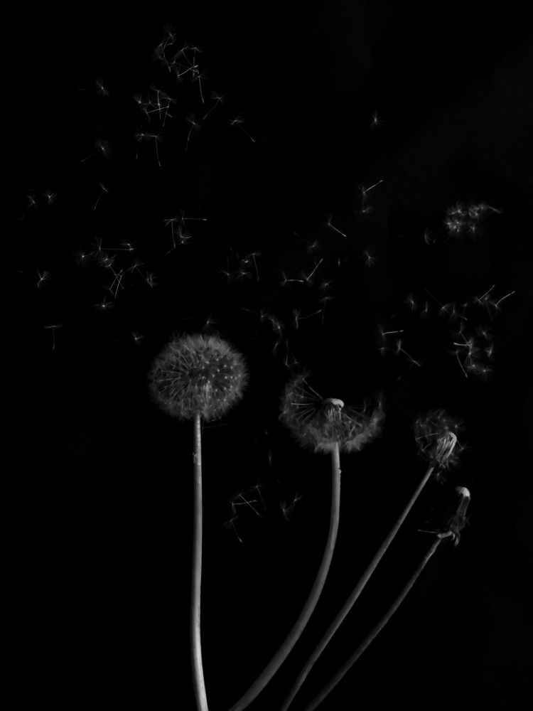 Photograph by Дарья