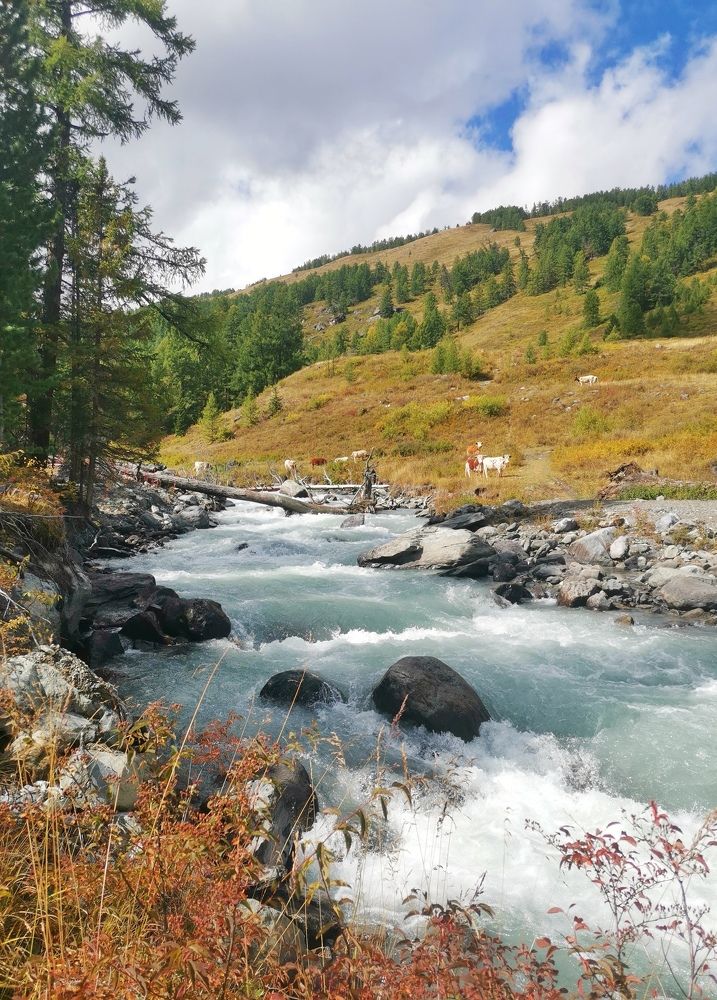 Photograph by Иван