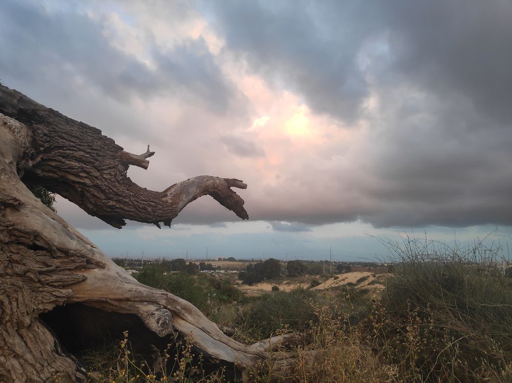 Photograph by Russell