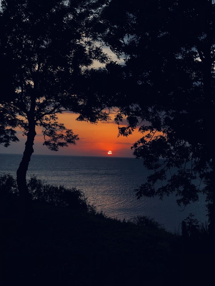 Photograph by Ирина