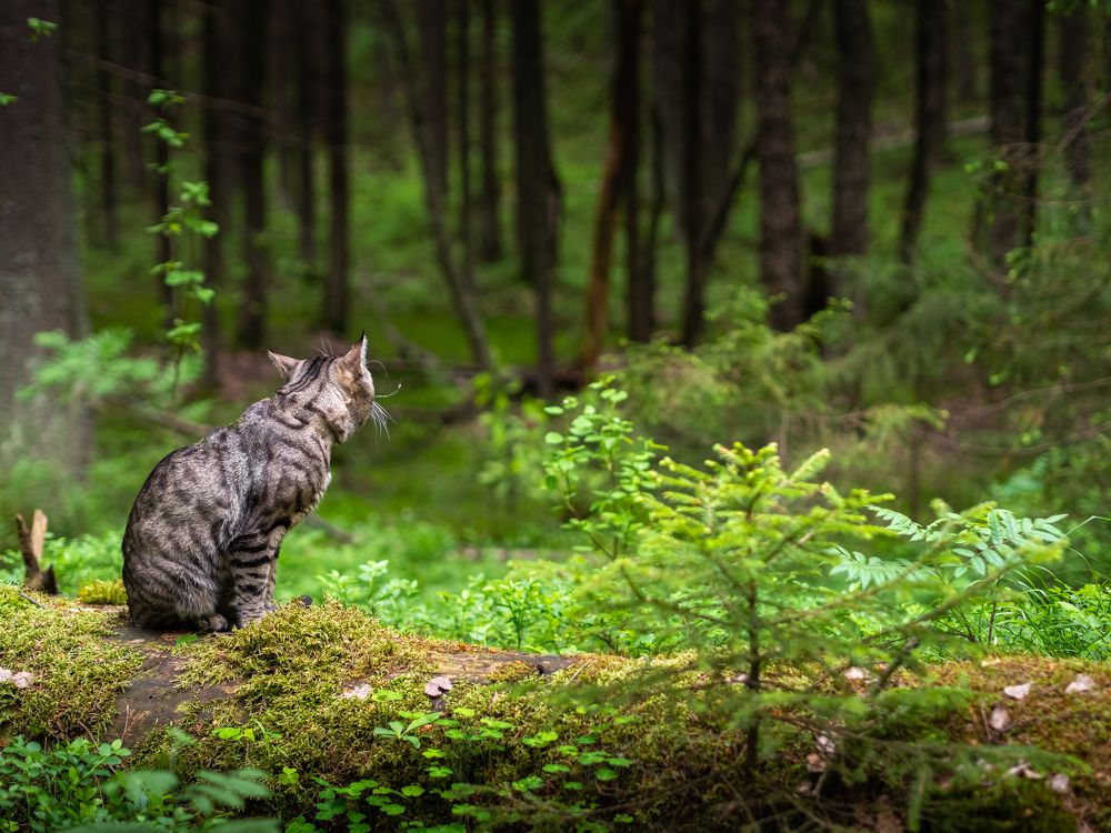 Photograph by Евгений Волосков