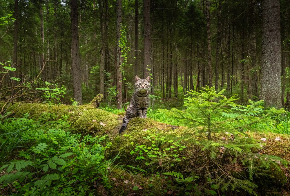 Photograph by Евгений Волосков