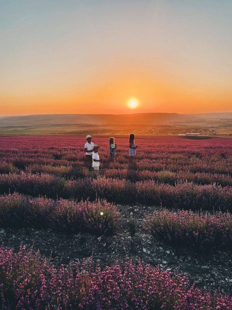 Photograph by Настасья Сторчак