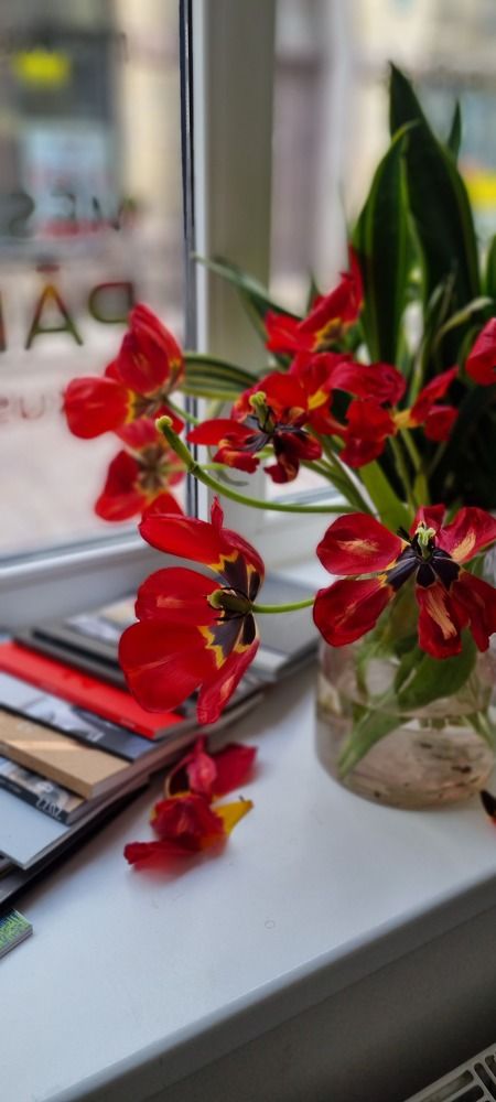 Photograph by Марина Сухина