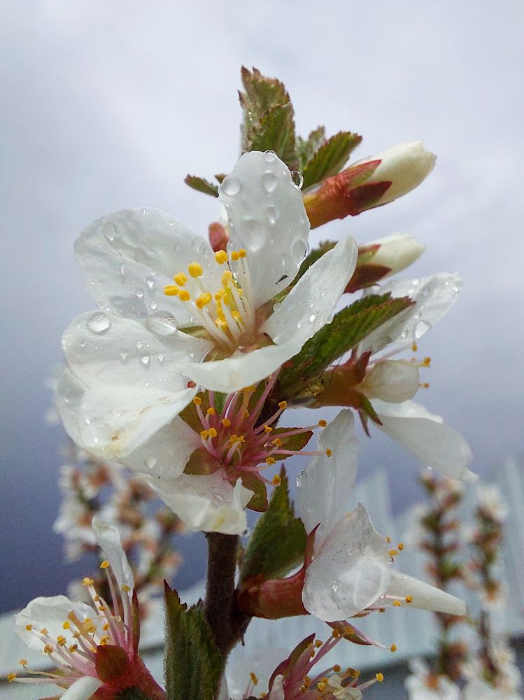 Photograph by Дмитрий Мальцев