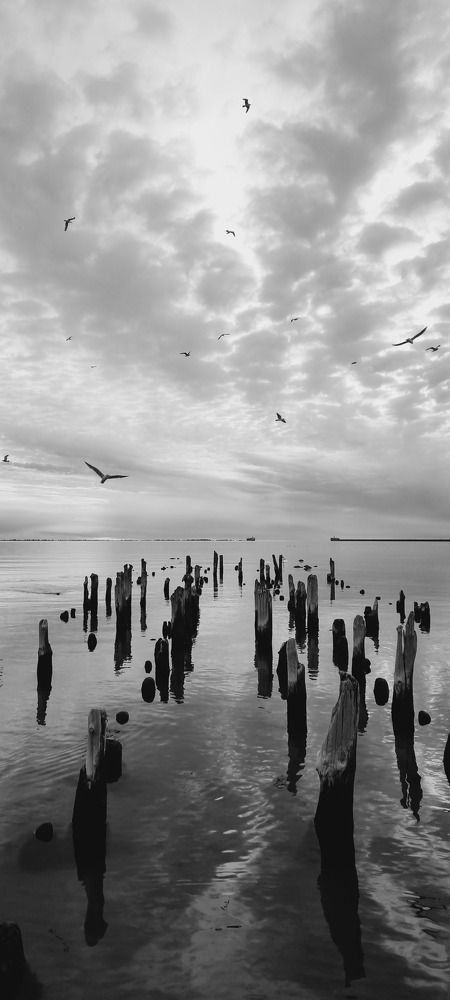 Photograph by Марина Сухина