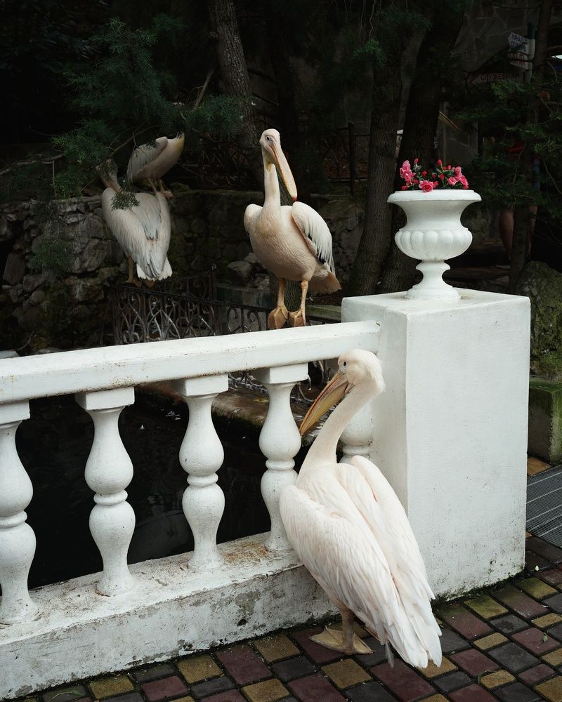 Photograph by Василий Селиванов