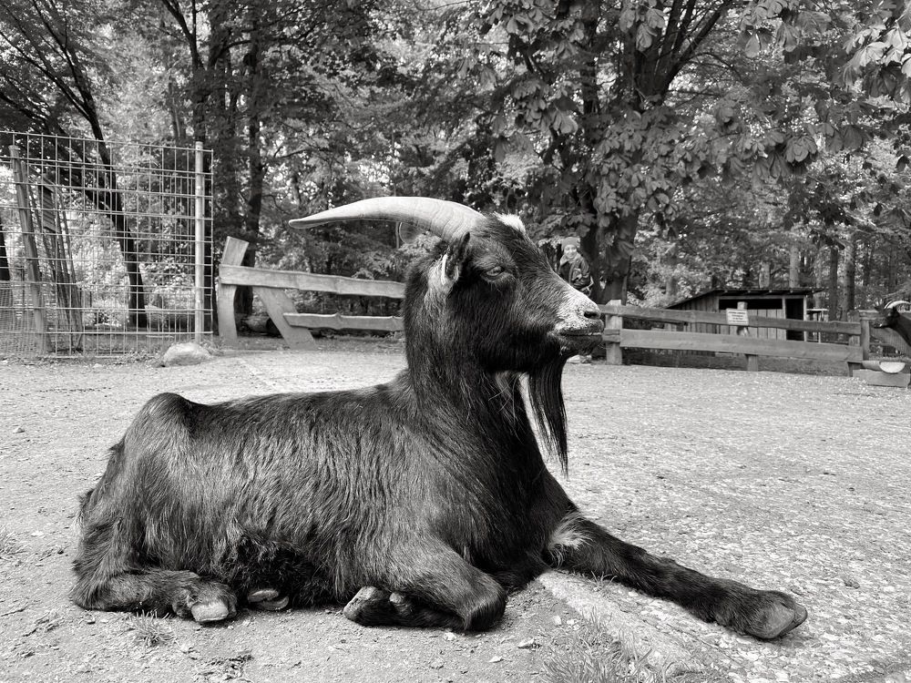 Фотография автора Ramin Ismayilov