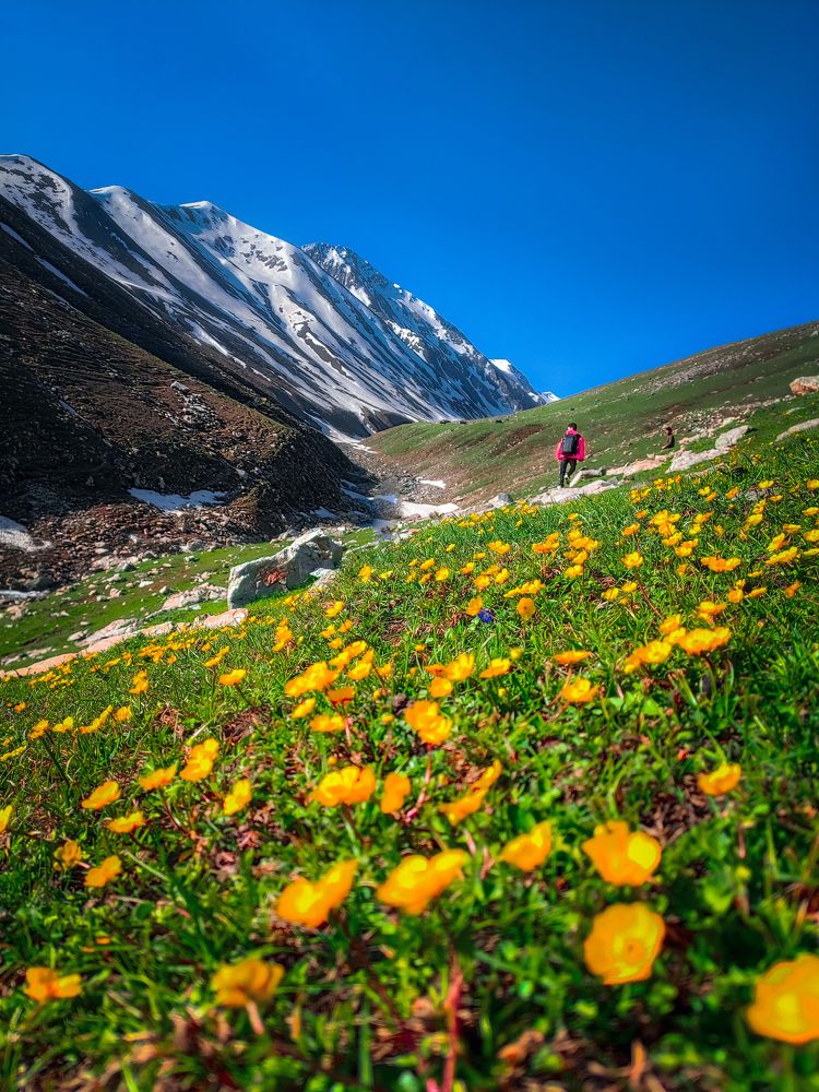 Photograph by Hannan Hamaad