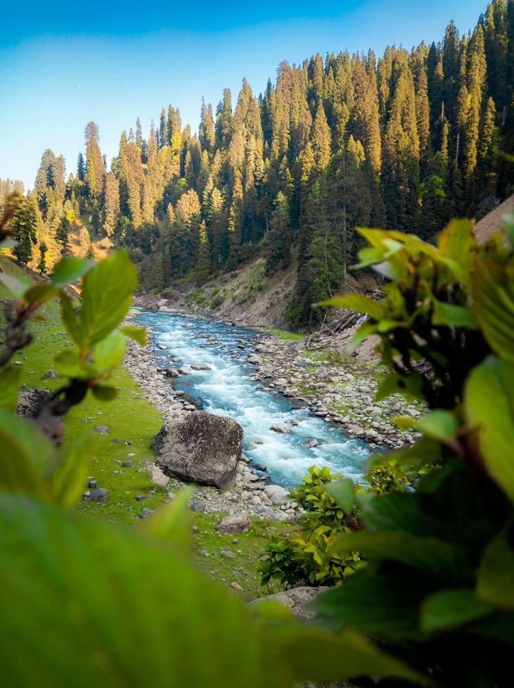 Photograph by Hannan Hamaad